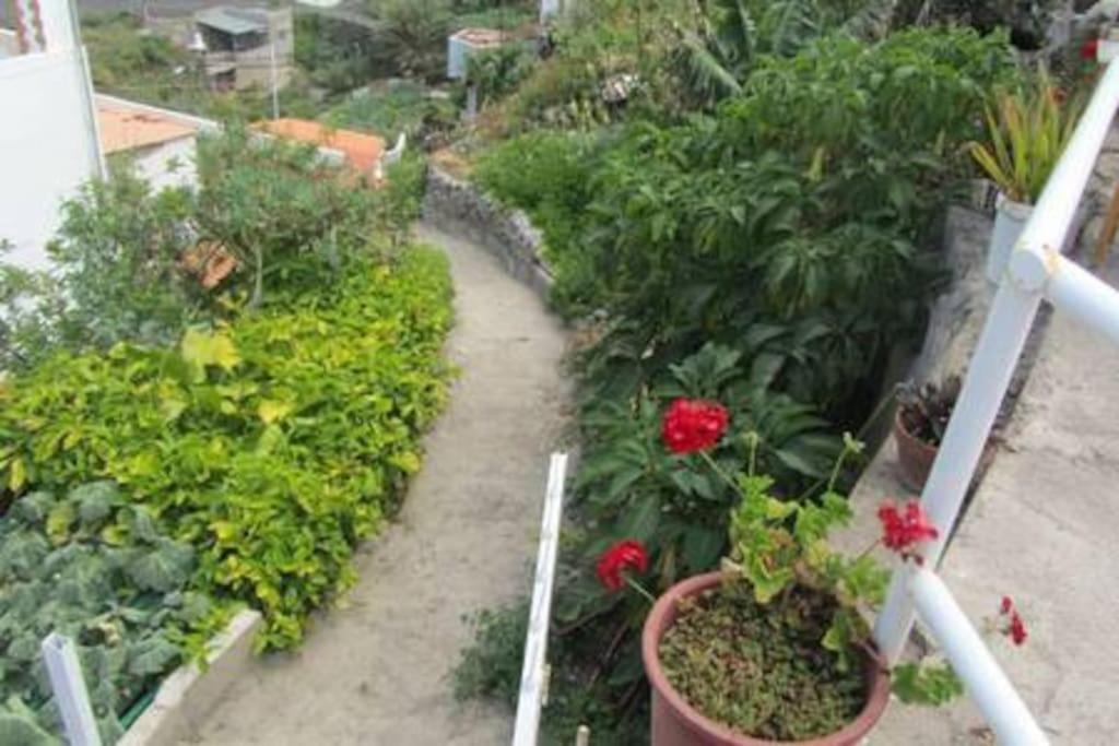 House Rural,Biosphere Reserve World.Taganana.Tfe. Santa Cruz de Tenerife Ngoại thất bức ảnh