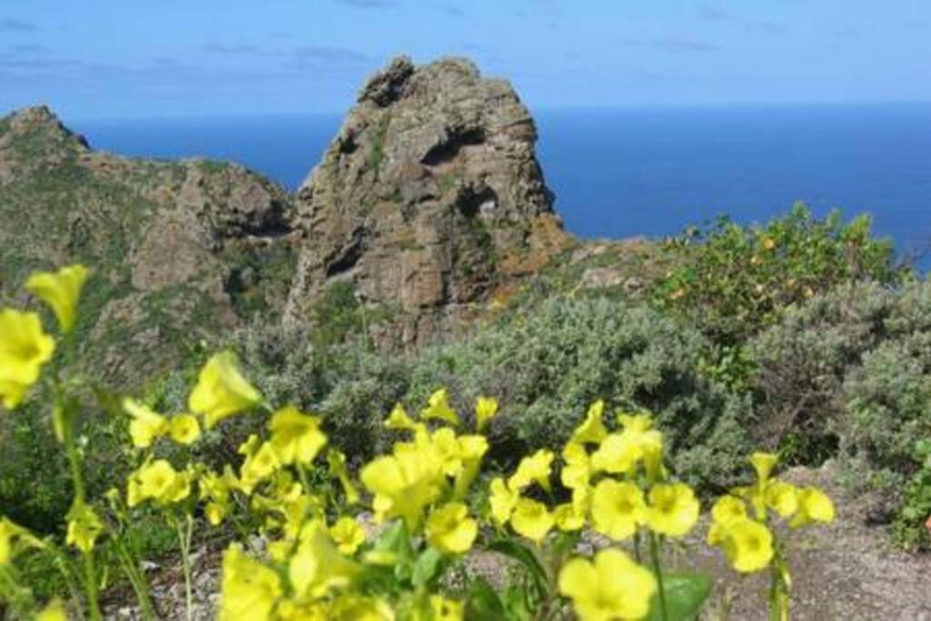 House Rural,Biosphere Reserve World.Taganana.Tfe. Santa Cruz de Tenerife Ngoại thất bức ảnh